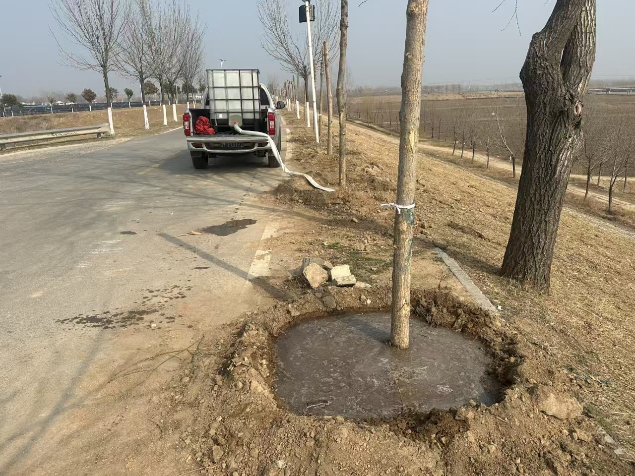 山东安澜公司莘县工程处：“植绿、护绿”进行时(图2)