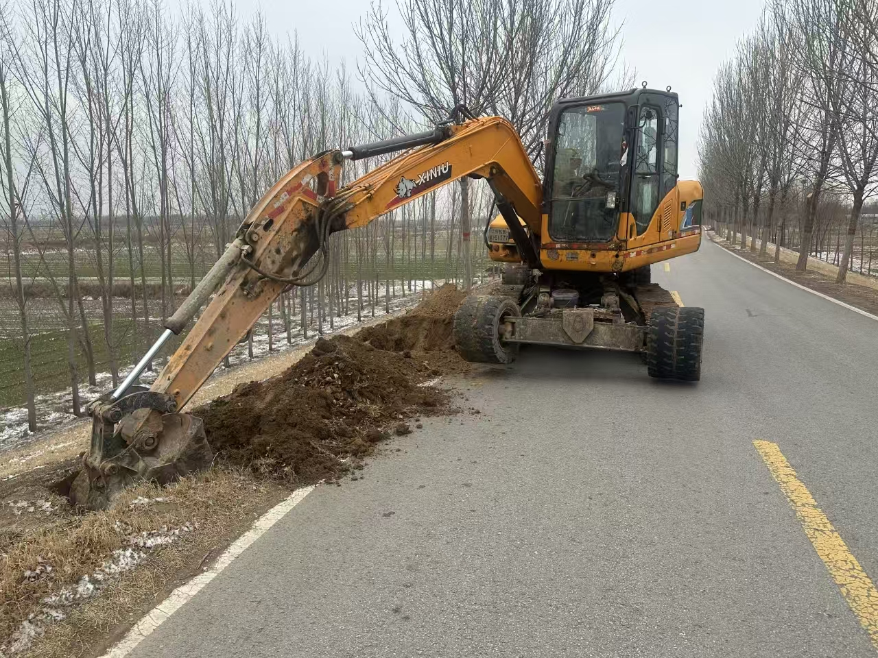 山东安澜公司莘县工程处：“植绿、护绿”进行时(图3)