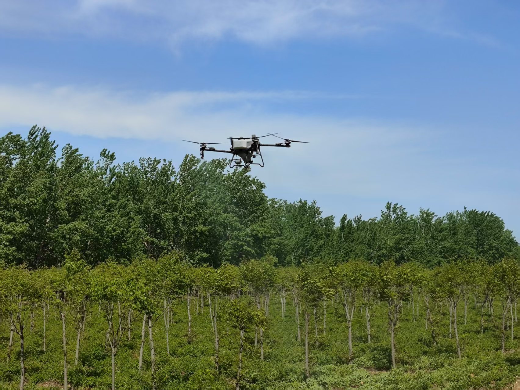 安澜公司东阿分公司:“人机协同”筑牢黄河生态屏障(图2) 安澜公司东阿分公司:“人机协同”筑牢黄河生态屏障(图2)